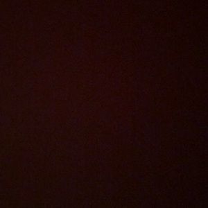 Meet your Posher, Leo